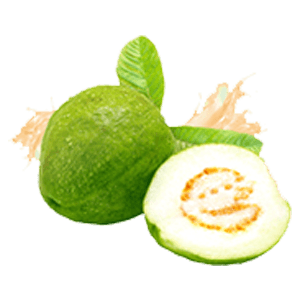 Guava category